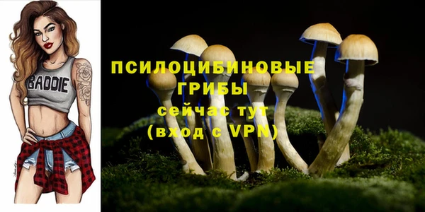 амфетамин Волосово