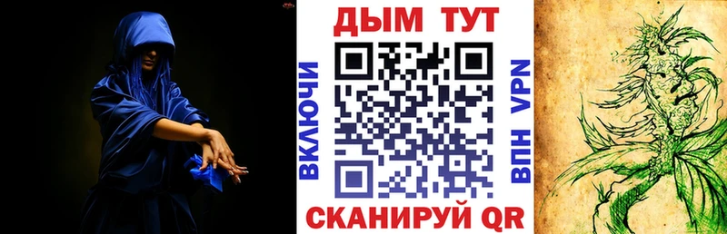 Канабис конопля  Саки 